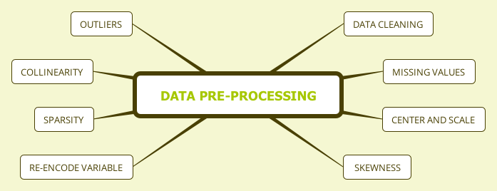 Data Pre-processing Outline